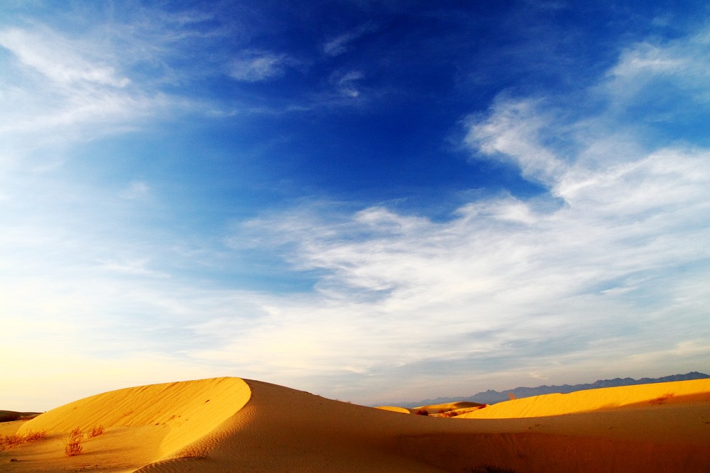 Desert 1/12