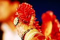 Neha Wedding 5/12